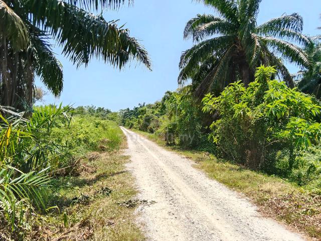 Balik Pulau 2.1 Acres First Grade Land for Sale  ,Penang 1