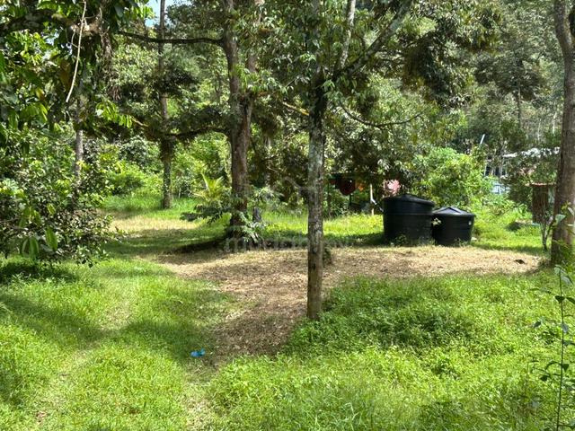 Land For Sale - Terap, Kulim, Kedah 1
