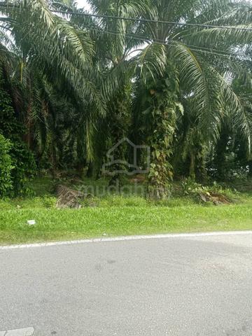 1st layer Non Bumi Agriculture Land of Kuala LANGAT main road 4