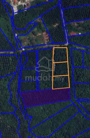 3 acres Agricultural Land Ampar Tenang Dengkil 1