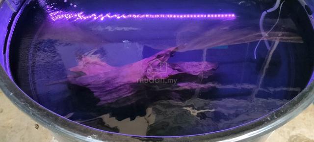 Carousel Image Selected