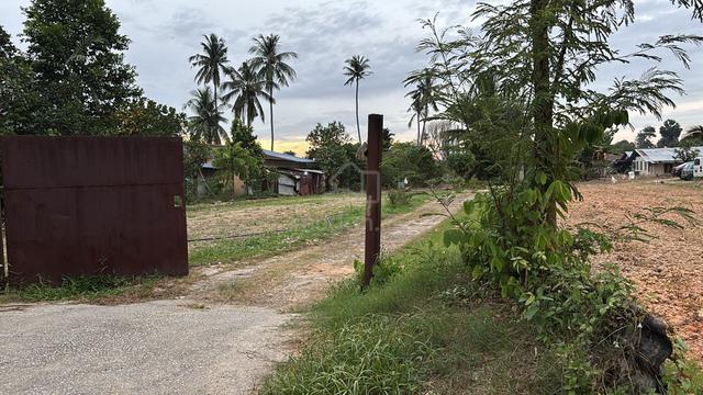 TANAH PERTANIAN KG MELAYU MALRA SUNGAI BULOH (Plot A) 1