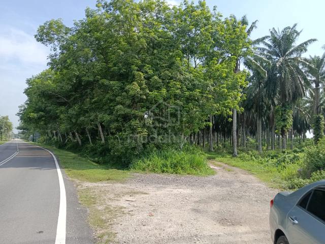 Tanah Sawit di Tasek Gelugor Untuk Dijual 1