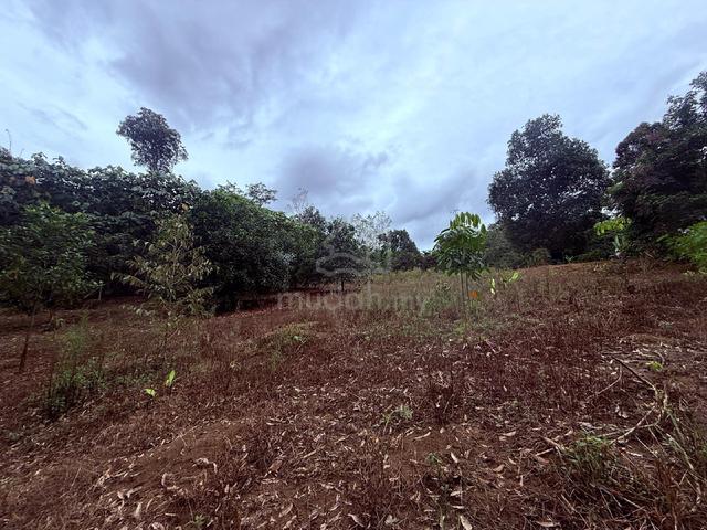 1.7acre agreeculture land for rental near Temau,Raub. 1