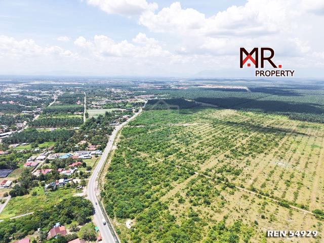 FACING ROAD @ Oil Palm 1st Grade Land Tasek Gelugor Penang FOR SALE 1