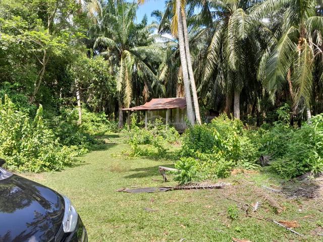 Tanah Pertanian 1