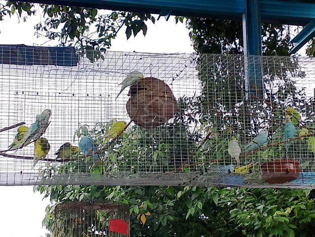 Carousel Image