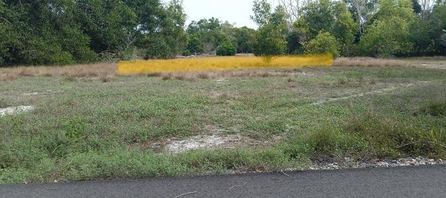 Tanah di rhu batil dungun 1