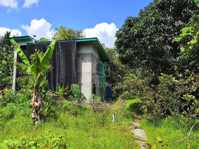 6.02 Acres Farm w/ Bird Nest House & 2 Houses, Mile 13.5 Sandakan 1