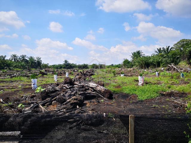 2 Acres Land , Telok Panglima Garang , Klang, Selangor 5