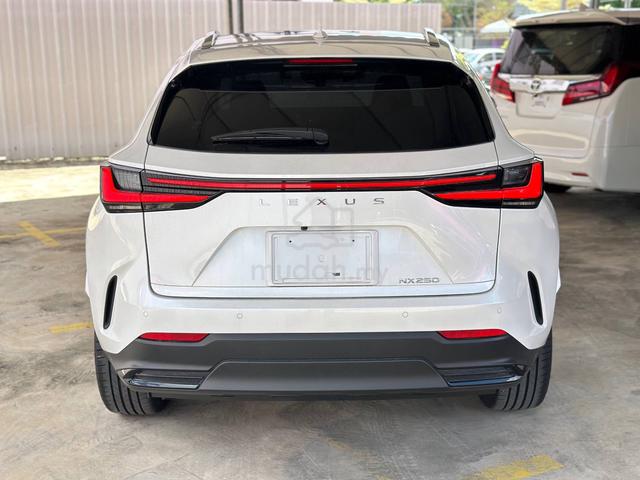 2023 Lexus NX 250 2.5 LUXURY (A) - 4