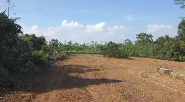 Tanah Untuk Disewa 1