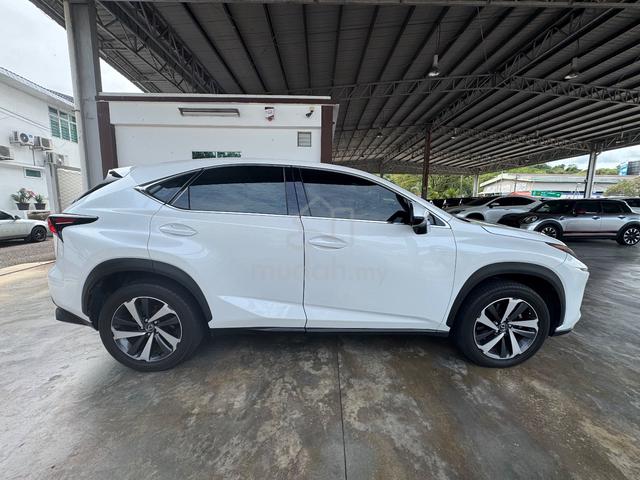 2019 Lexus NX 300 2.0 PREMIUM (A) - 4
