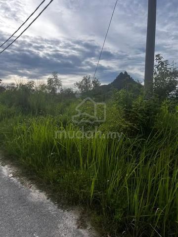 Untuk Dijual 2 Tanah Lot di RPT Sungai Buluh, Sungai Siput (u) Perak 1