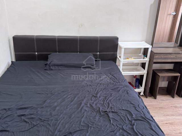 Male Room In Petra Jaya 1
