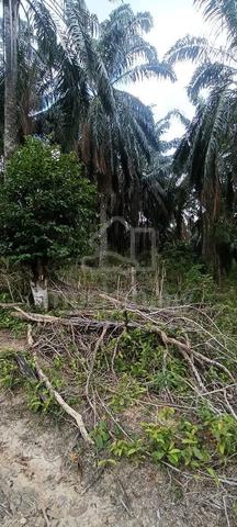 Tanah Untuk Di Jual 6.3 Ekar Air Pak Abas Alor Gajah Melaka 1