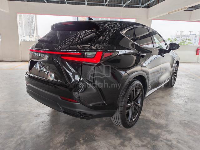 2023 Lexus NX250 2.5 VERSION L - 4