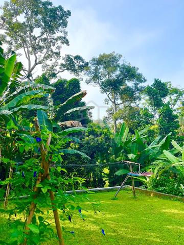 Land For Lease 1