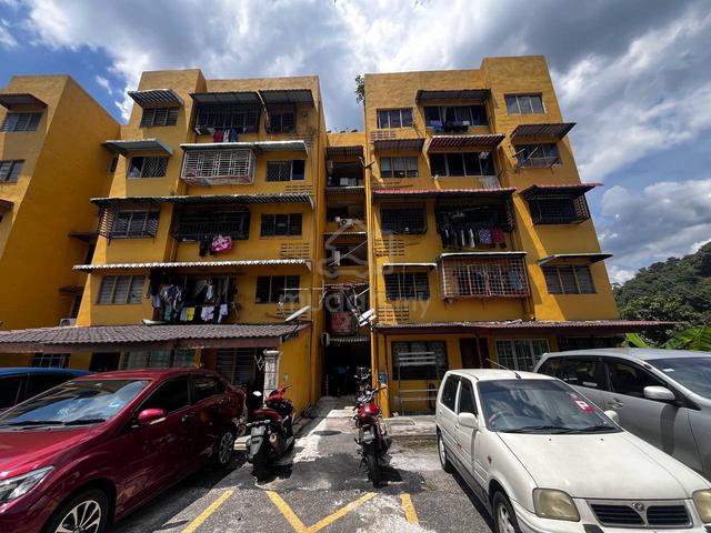 Flat Pkns Au3 1