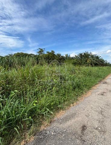 For Sale Pekan Nenas @ Batu 26 @ Industrial Land 1