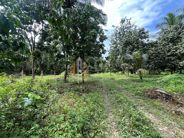 Tanah murah di Kg Pulau Manis Serada 5