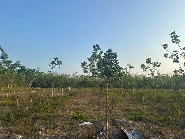 Tanah 1.86 Ekar Freehold Tepi Jalan – Tanah Merah Kelantan 1