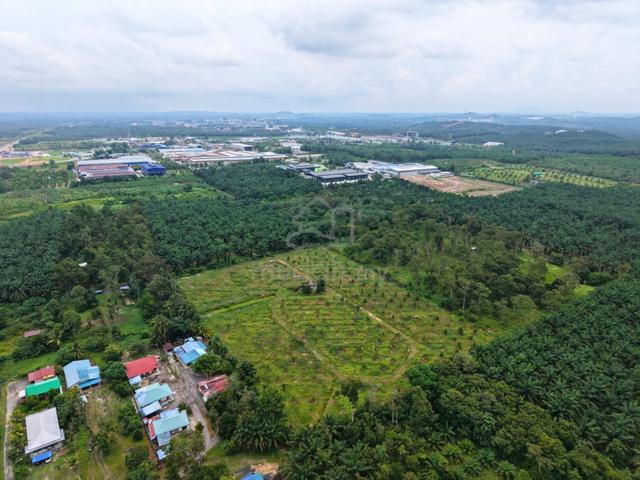 Simpang Renggam 6.99Acre Freehold International Non Bumi Durian Land 1