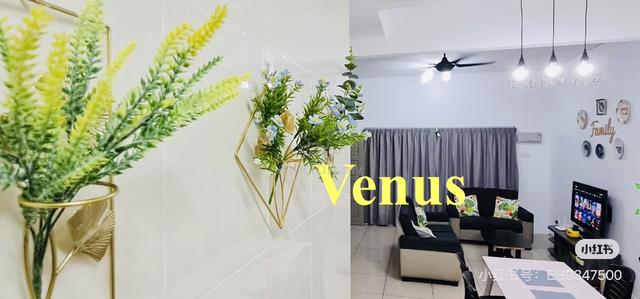 ROI 4% Reno furnished The Vines 1 Golden Hills Tanah Rata Cameron 2sty 1
