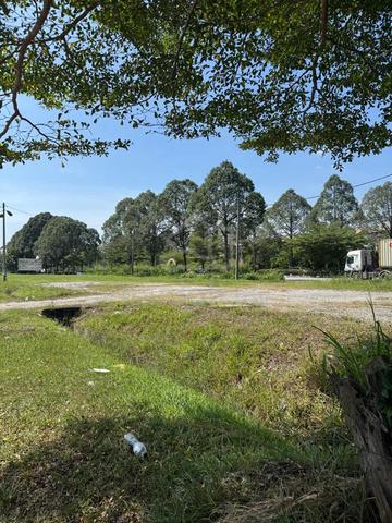 Nursery Land for Rent  1