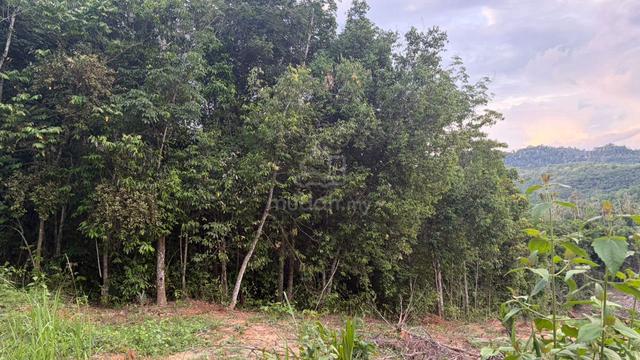 Tanah Murah View Cantik 1