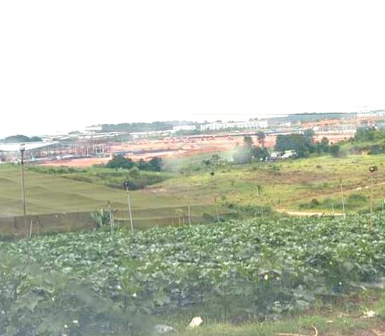 Senai Seelong Land For Sale 1