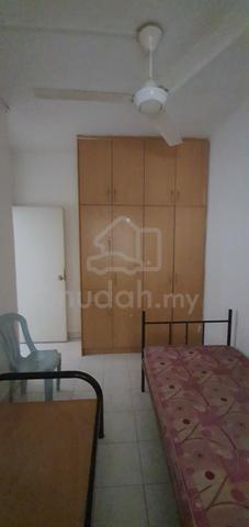 Brunsfield Riverview 5