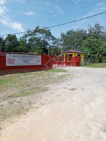 10 acre Agriculture Land Tampin Negeri Sembilan. Individual Title 3