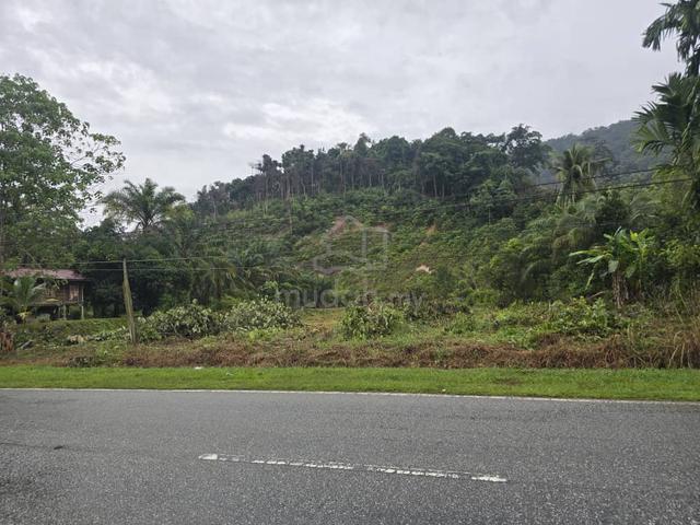 Tanah untuk disewa tepi jalan besar Bukit Merah 1