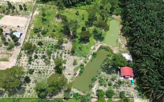 Agriculture Land Kg Sungai Pening Hulu Semenyih Hulu Langat 1