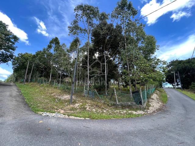 (5EKAR|TERMURAH)-Tanah Lot Banglo & Kebun, Kg Kepis Baru @ Kuala Pilah 4