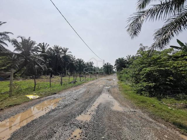 10 Acres Agriculture Land Bukit Kapar Meru Klang 1
