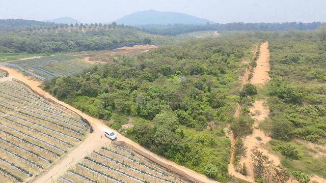 Tanah Pertanian 4 Ekar Kg Selangar Jasin Melaka 1