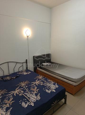 Bukit Chagar (Pine View) 1