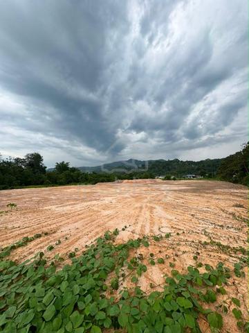 Tanah untuk disewa, Sugud Penampang 1