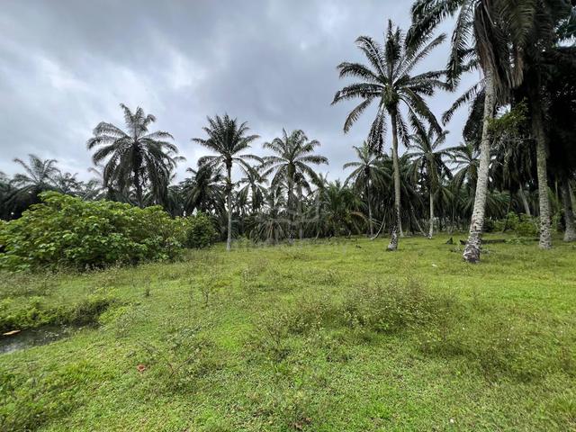 Freehold 3.605 Ekar Ladang Sawit RTB Sungai Draka Taiping, Perak 4