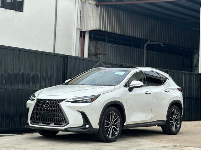 2022 Lexus NX250 2.5 VERSION L (A) GRADE 5A P/ROOF - 1