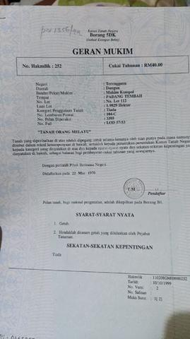 Tanah kelapa sawit 1