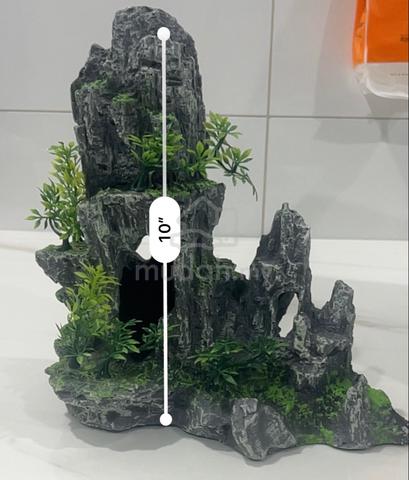 Carousel Image
