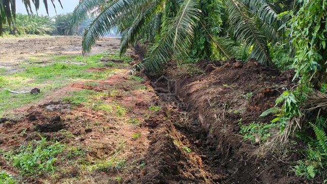 Johor Bukit Gambir Agricultural Land For Rent 1