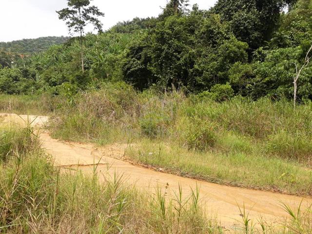 Tanah Tepi JALAN Kg Keru Tampin Negeri Sembilan 1