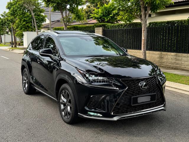2019 Lexus NX 300 2.0 F SPORT (A) - 1