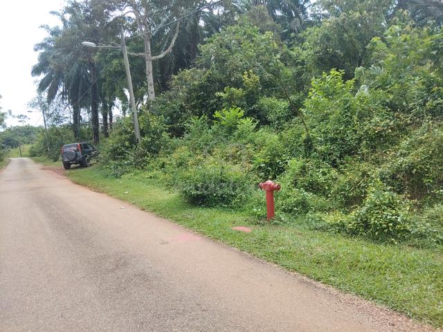Tanah Non Bumi Tepi Jalan Kampung Alor Gajah 1