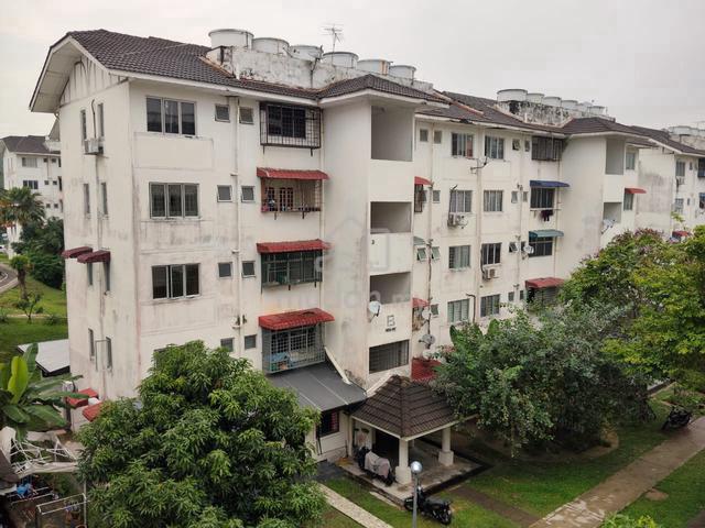 Palma Puteri 1