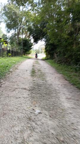 Tanah cantek 1